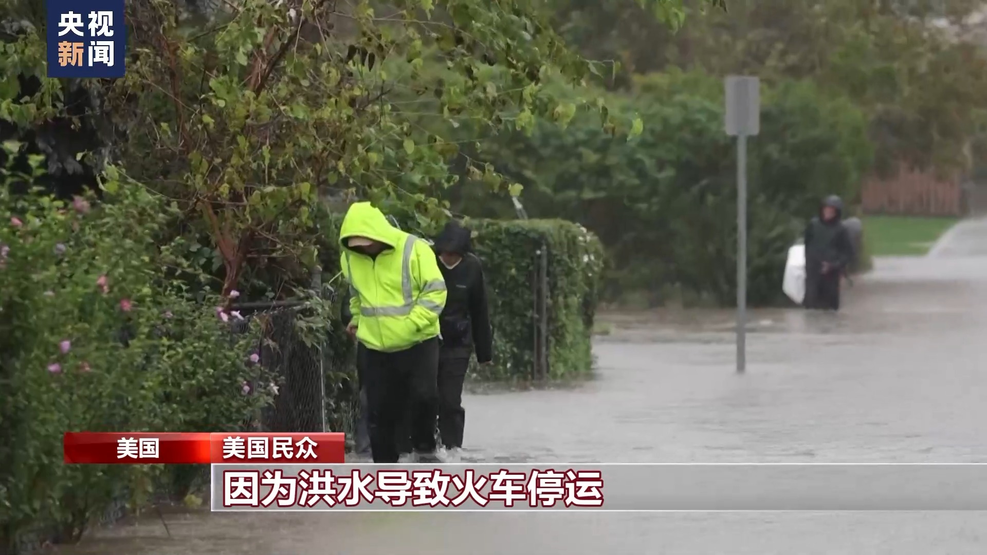 捕鱼黄金鲨
