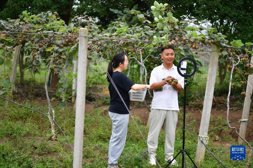多宝游戏盒官网